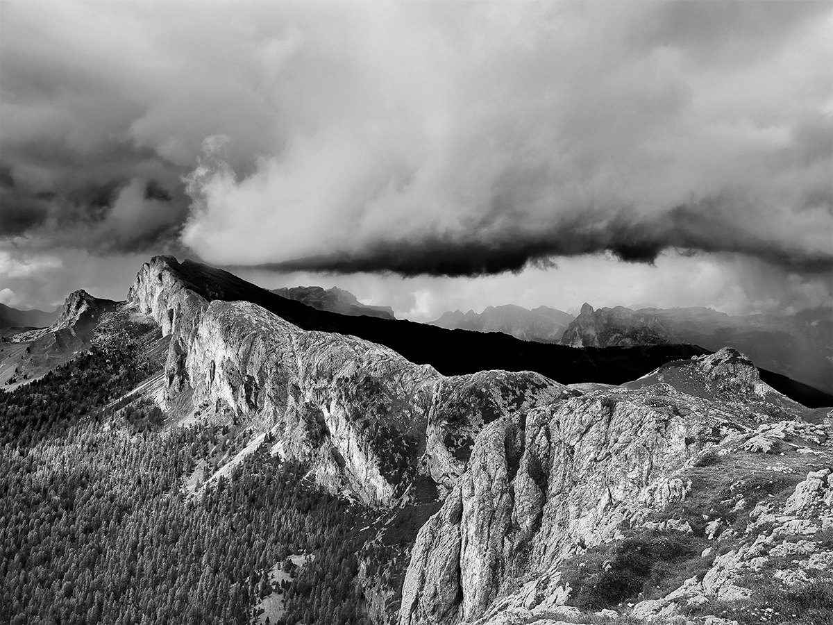 Vaia. Viaggio consapevole dentro un disastro